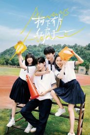 Always Home (2025) Episode 14 English SUB